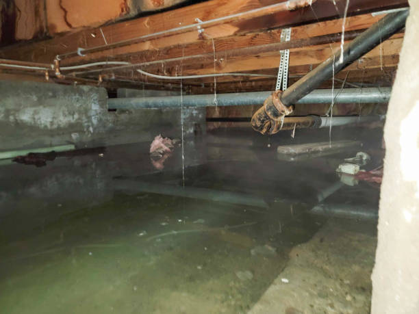 Best Commercial water damage restoration  in Overland, MO