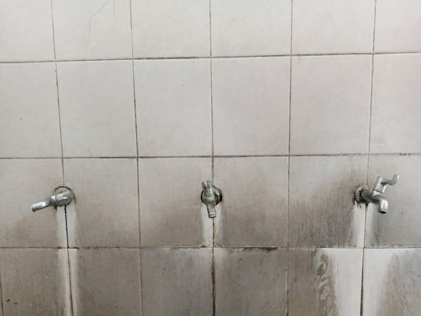Best Residential water damage restoration  in Overland, MO