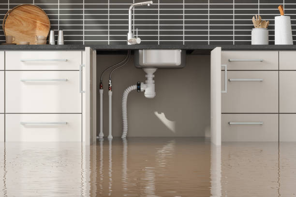 Best Emergency water damage restoration  in Overland, MO