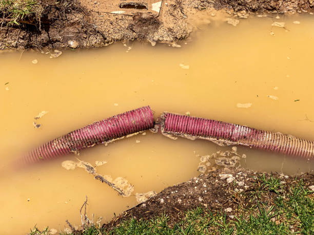 Best Water damage restoration mold remediation  in Overland, MO