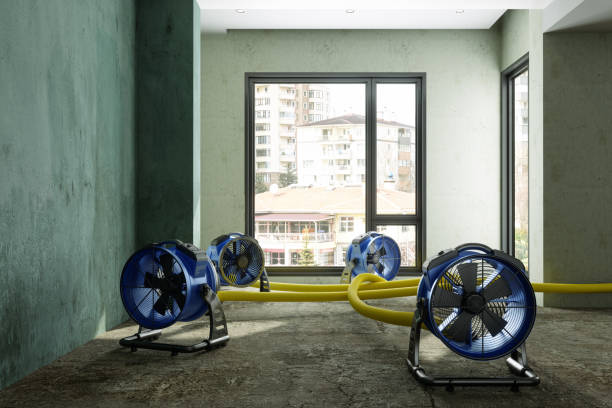 Best Water damage cleanup near me  in Overland, MO
